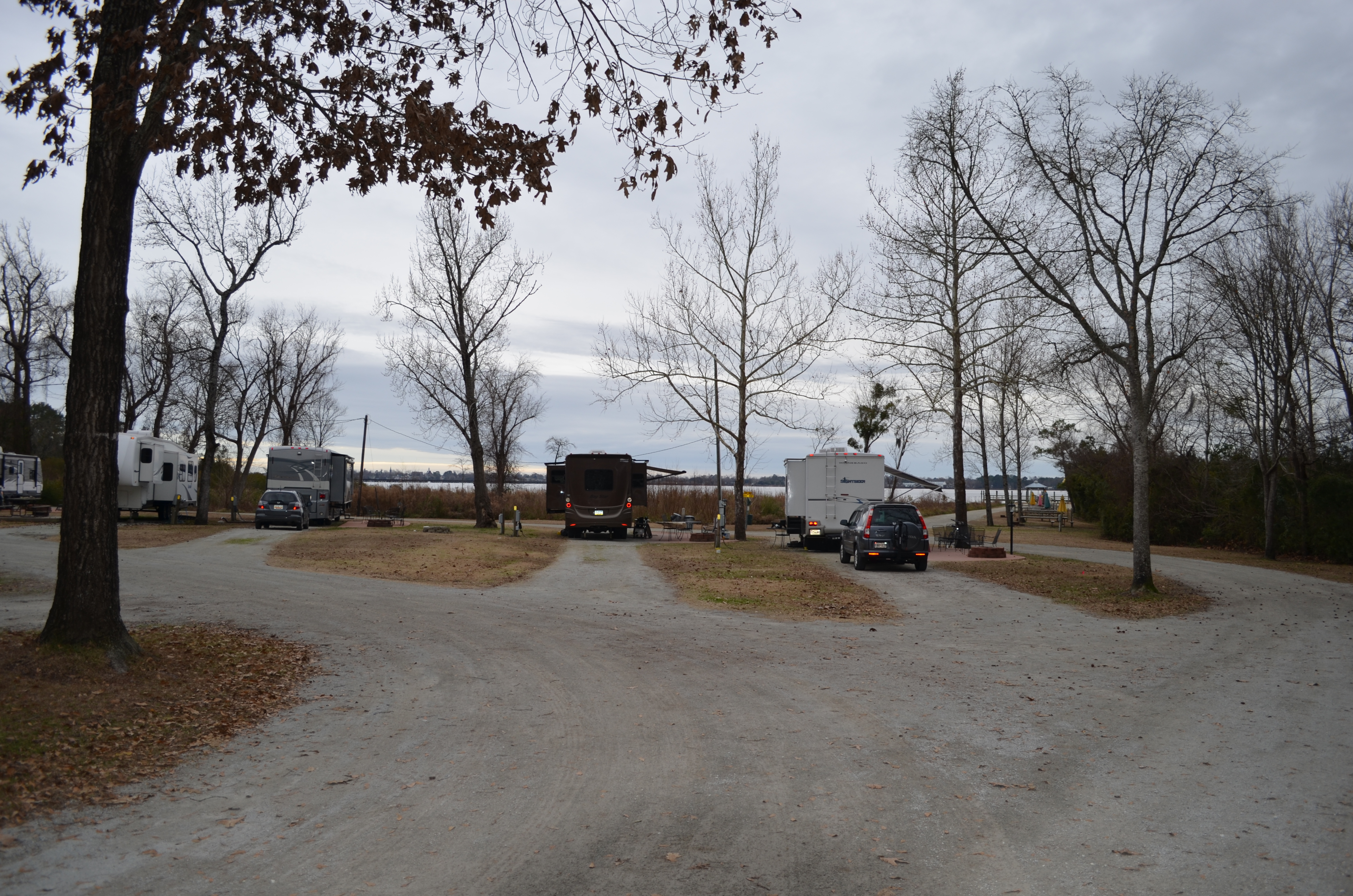 ./2017/01 - New Years/03 - KOA/DSC_0524.JPG